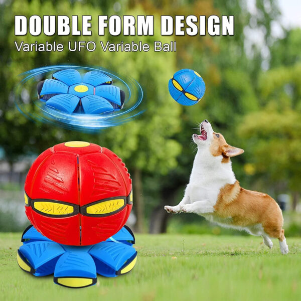 Pet Toy Flying Flat Throw Disc Ball for DogsItem No#10025 - Image 4