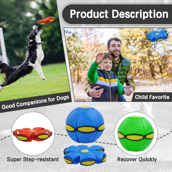 Pet Toy Flying Flat Throw Disc Ball for DogsItem No#10025 - Image 5