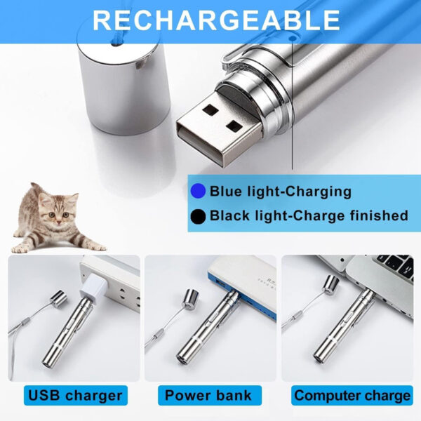Cat Toys Usb Recharge Laser Pointer Item No#10035 - Image 4