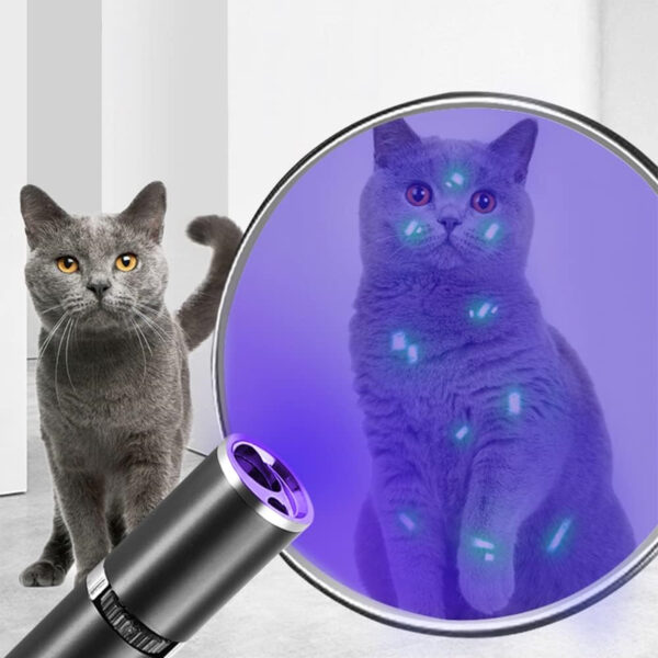 Cat Toys Usb Recharge Laser Pointer With Uv Purple Light Item No#10036 - Image 3
