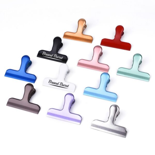 3 Inch Stainless Steel Chip Clip Item No#10792