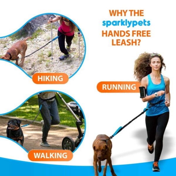 Adjustable Hands Free Dog Running Leash Item No#10870 - Image 6