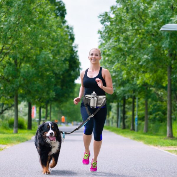 Waist Dog Leash Bag For Running Item No#12073 - Image 7