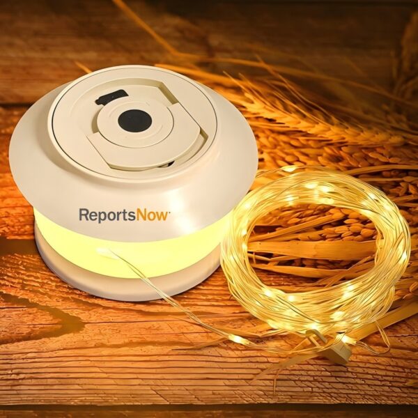 Retractable Waterproof String Lights Item No#12355