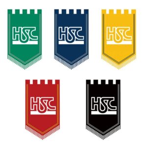 Five Pointed Hanging Flag Item No#12630