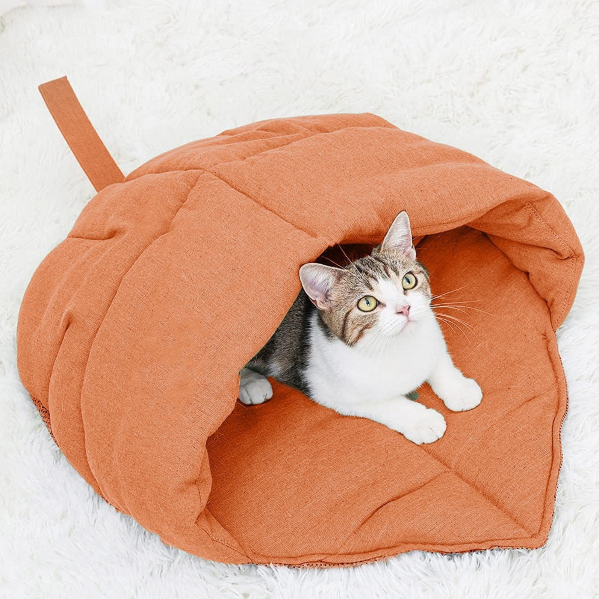 Cat Sleeping Bag Item No#12788 - Image 2